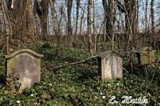 Widok pozostaoci cmentarza
